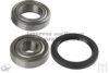 ASHUKI 1413-8004 Wheel Bearing Kit